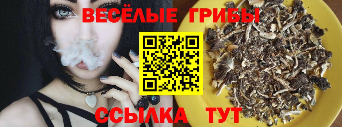 Псилоцибиновые грибы Cubensis  цены наркотик  Черногорск  Вход с VPN 